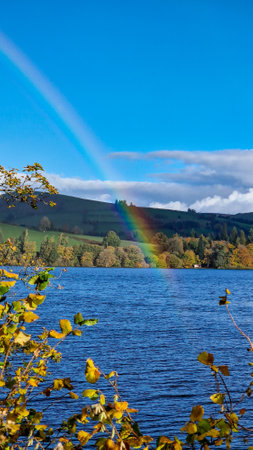 This collection of images captures the enchanting beauty of Lake Vyrnwy in Wales, a testament to both natural beauty and human ingenuity. From the majestic overflow of the dam spilling into lush woodlands to the tranquil roads meandering through autumn-kissed forests, each shot tells a story of serenity and pastoral grace. The presence of a rainbow arcing over the water adds a touch of magic to the scene. These images are imbued with the quiet dignity of the Welsh landscape, ideal for environmental themes, travel and tourism publications, or any narrative celebrating the serene beauty of the United Kingdom's countryside.の写真素材