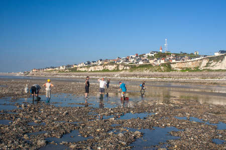 13.06.2014 ault france people picking seafood at low tideのeditorial素材
