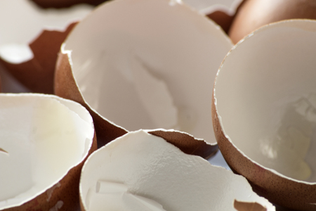 broken egg shellsの写真素材