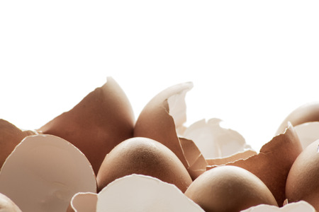 broken egg shells