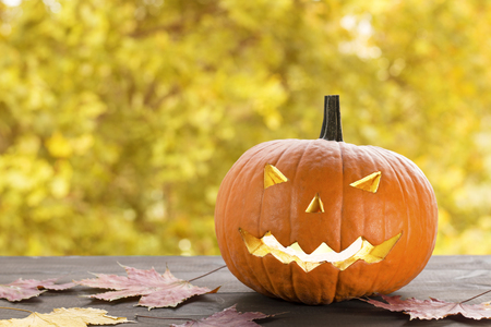 Halloween carved pumpkin, jack-o-lanternの写真素材