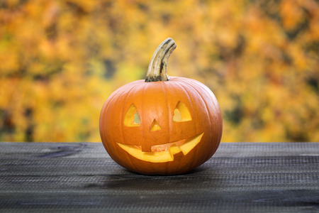 Halloween pumpkin on grass. jack-o-lanternの写真素材