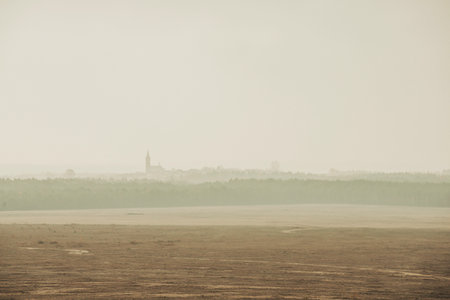 Bledow desert (Desert Bledowska) biggest sand desert in Silesia region in Polandの写真素材