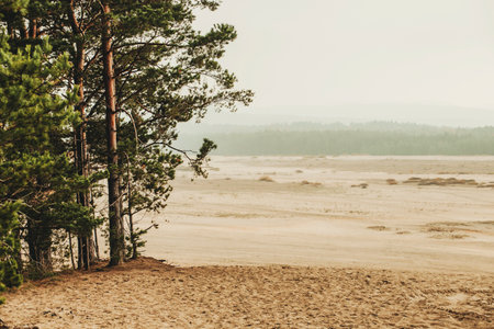 Bledow desert (Desert Bledowska) biggest sand desert in Silesia region in Polandの写真素材