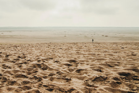 Bledow desert (Desert Bledowska) biggest sand desert in Silesia region in Polandの写真素材