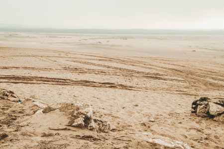 Bledow desert (Desert Bledowska) biggest sand desert in Silesia region in Polandの写真素材