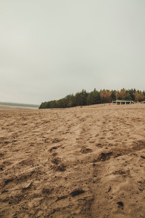 Bledow desert (Desert Bledowska) biggest sand desert in Silesia region in Polandの写真素材