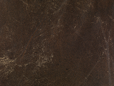leather backgroundの写真素材