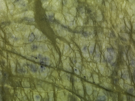 Marble background plateの写真素材
