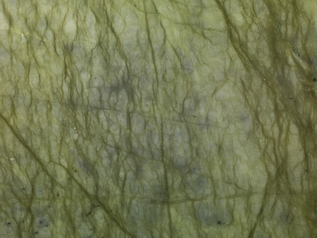 Marble background plateの写真素材