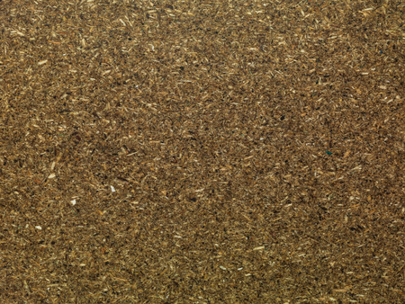 Wood backgroundの写真素材