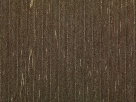 background with treeの写真素材