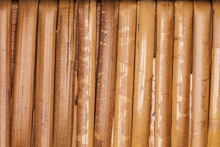 background with brown sticksの写真素材