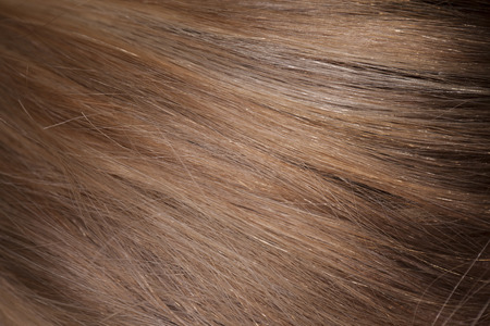 hairの写真素材