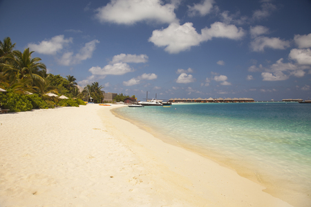 beach in the Maldivesの写真素材