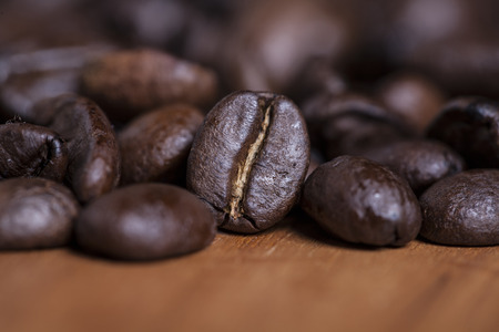 coffee bean front viewの写真素材