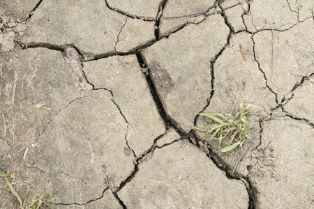 cracked dried mud, perfect background, close up