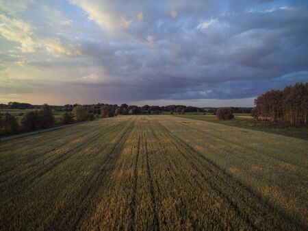 arable fields seen from above, agriculture