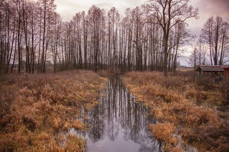 view of the river during snowless winterの写真素材