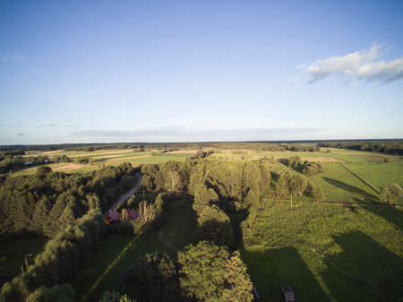 meadow in Poland, high grass, view from aboveの写真素材