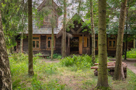 old uninhabited house in the middle of the forestの写真素材