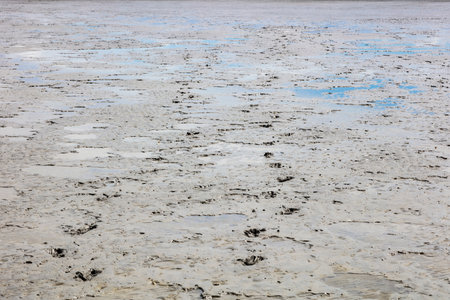 the bottom of the sea at low tide, traces of human feet