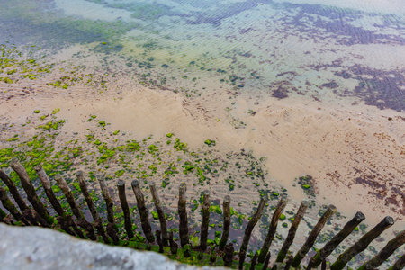 wooden piles driven on the beach top viewの写真素材