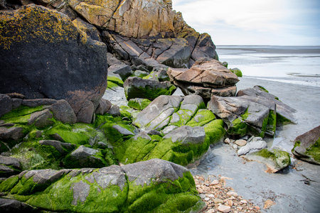 big stones covered with moss on the sea shoreの写真素材
