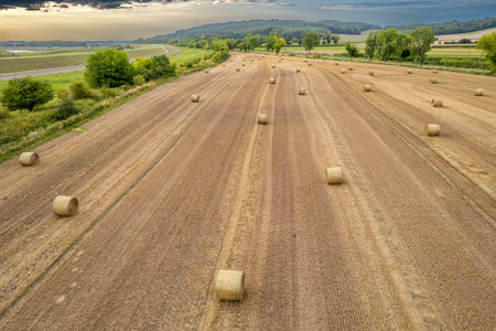 Aerial view of hay bales in a field after harvestの写真素材