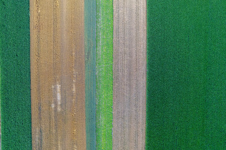 Aerial view of the green and brown agricultural fields in Poland.の写真素材