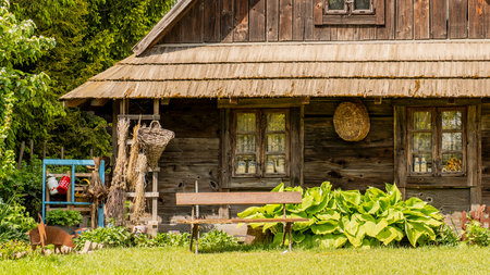 Old wooden house in the village in summer. Ukraine. Europe.の写真素材