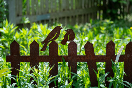 Wooden fence and two birds on the grass in the garden.の写真素材