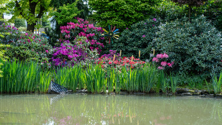 Flowerbeds with colorful flowers in the public park in London.の写真素材