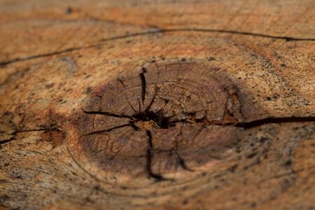 old wood textureの写真素材