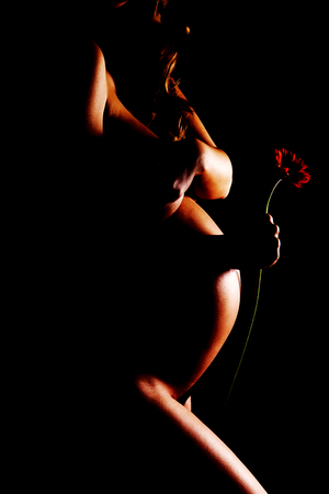 Pregnant woman touching her belly and holding gerbera.の写真素材