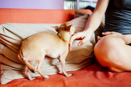 Teenage girl with her dog laying in bedの写真素材