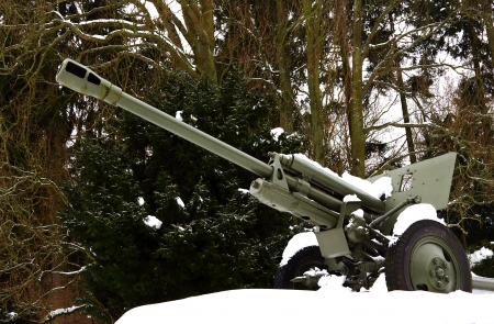 Cannon