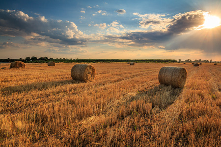 Hay rolls at sunsetの写真素材