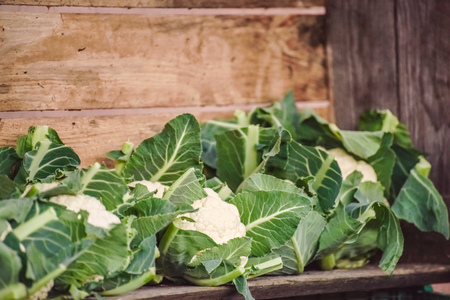 cauliflower on a wooden shelfの写真素材
