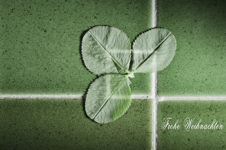Frohe Weihnachten Merry Christmas written in German with green clover on good luck an green tiles background.の写真素材