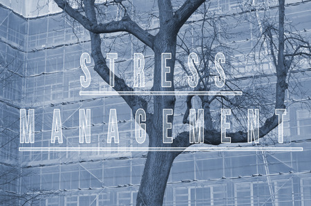 Words stress management written on building scaffolding and tree background.の写真素材