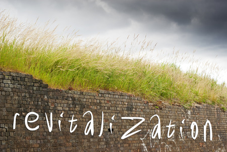 Revitalization written on old red bricks wall, green grass and dark sky over.