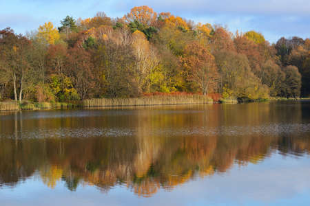 Autumn landscape at lake.の写真素材