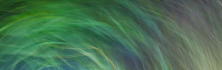 Natural abstract pattern.の写真素材