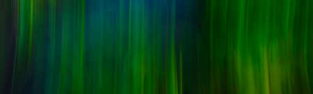 Natural abstract pattern.の写真素材