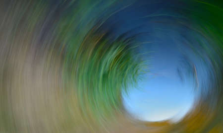 Natural abstract pattern.の写真素材