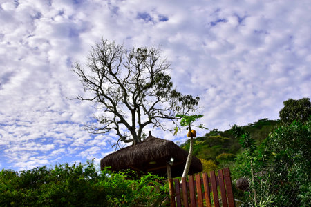 The Sky. Rio de Janeiroの写真素材