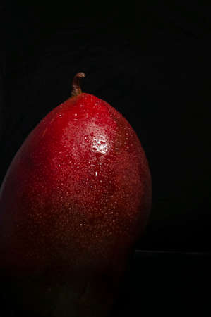 A fresh wet mango close up on black background. Low key technique. space for text.の写真素材