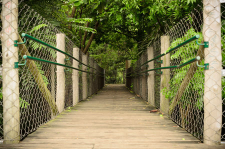 Wood bridge in forestの写真素材
