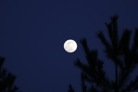 Beautiful full moon in the clear sky.